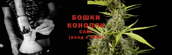 PSILOCYBIN Михайловка