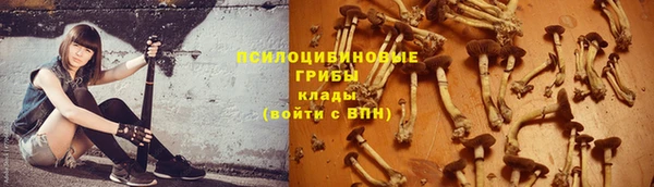 PSILOCYBIN Михайловка