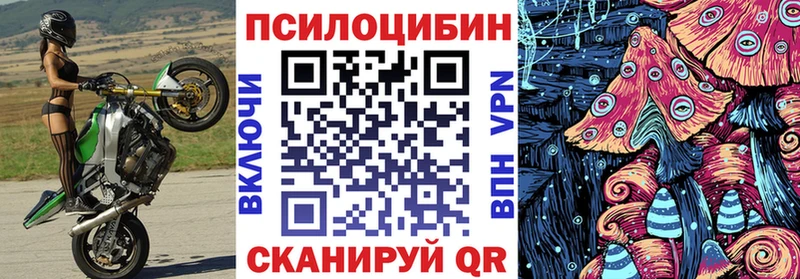 Галлюциногенные грибы прущие грибы Павловск